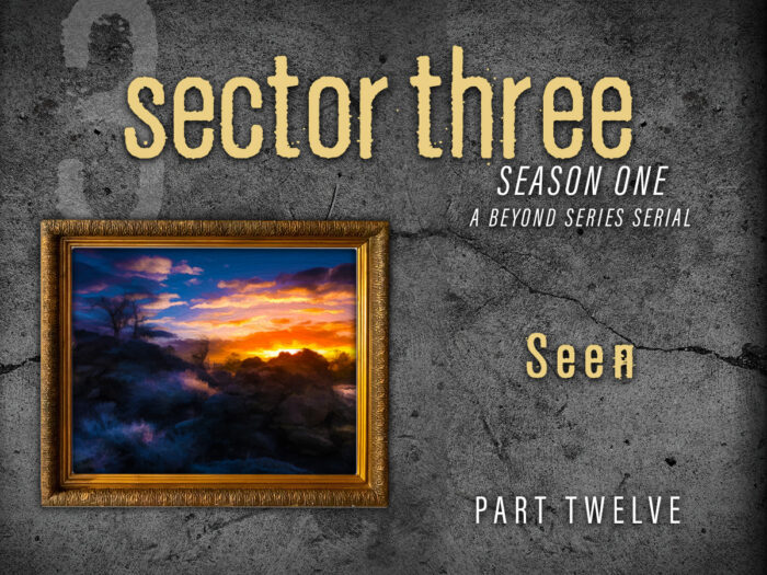 Sector Three: Part 12 - Seen